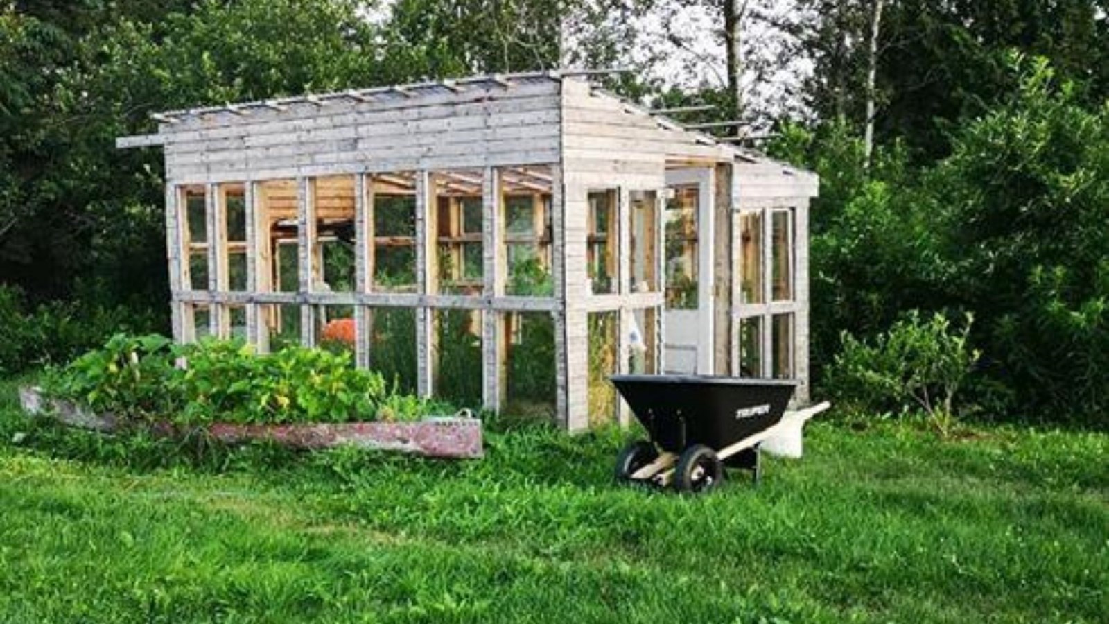 Galerie 2 : des potagers photogéniques!