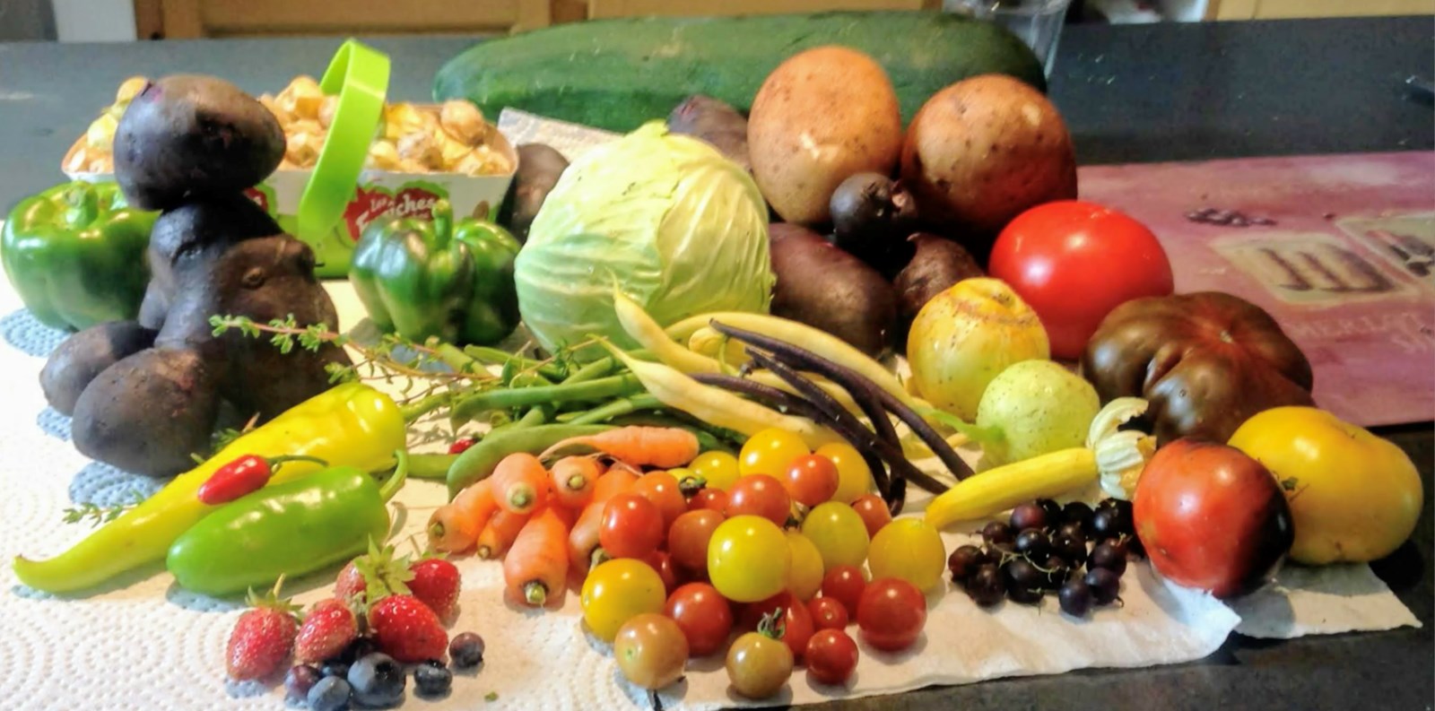 Galerie 2 : des potagers photogéniques!