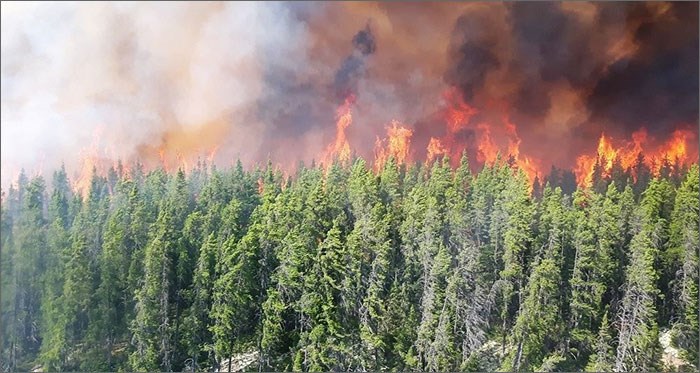La foudre a causé plusieurs incendies de forêt au coeur de l’été