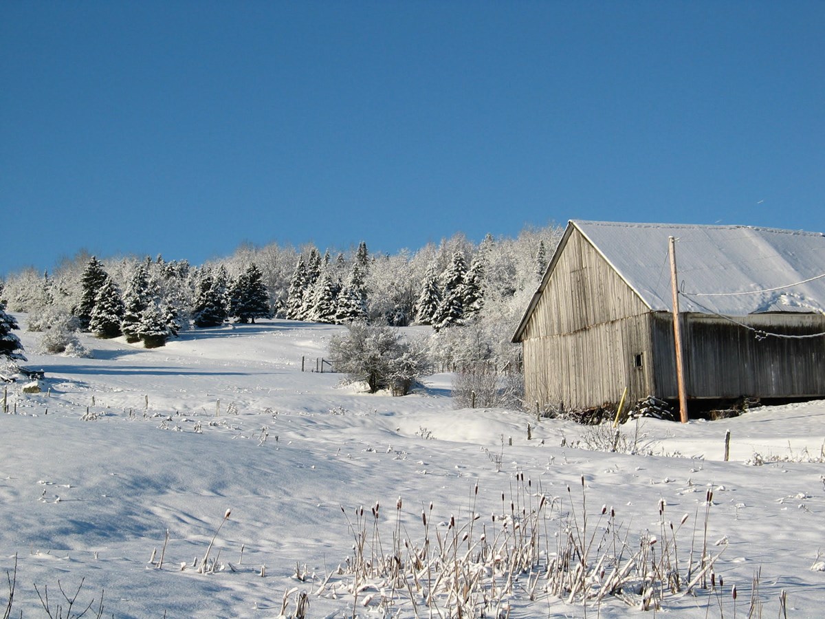 Photo de 2003 dans l'ouest de Notre-Dame-des-Pins.