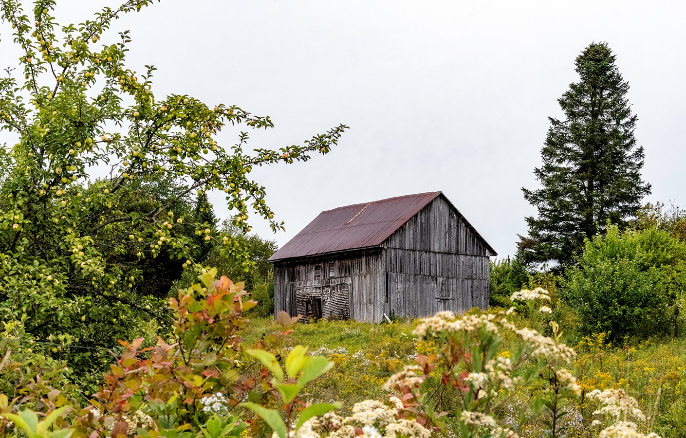 Saint-Simon-les-Mines, secteur Cumberland