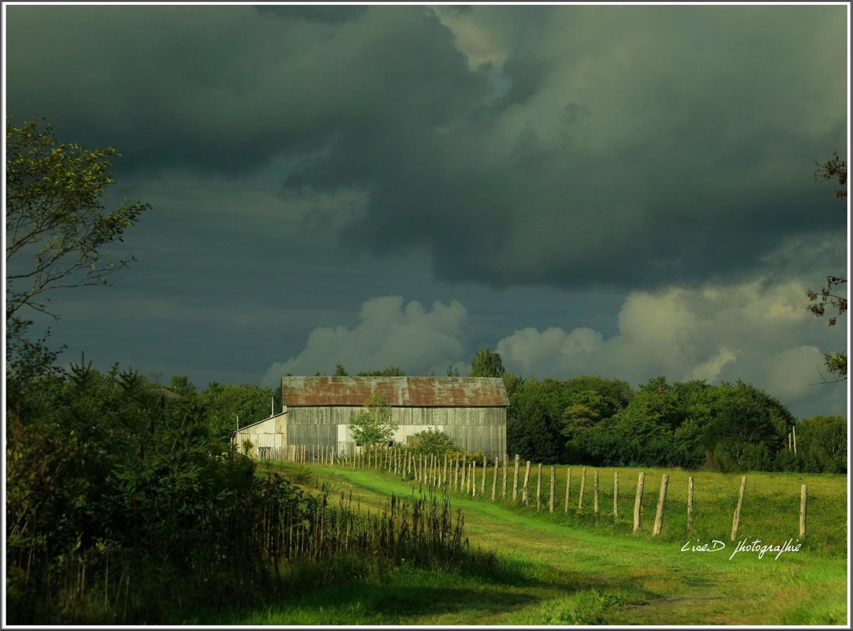 Beauceville (Rang Saint-Joseph)