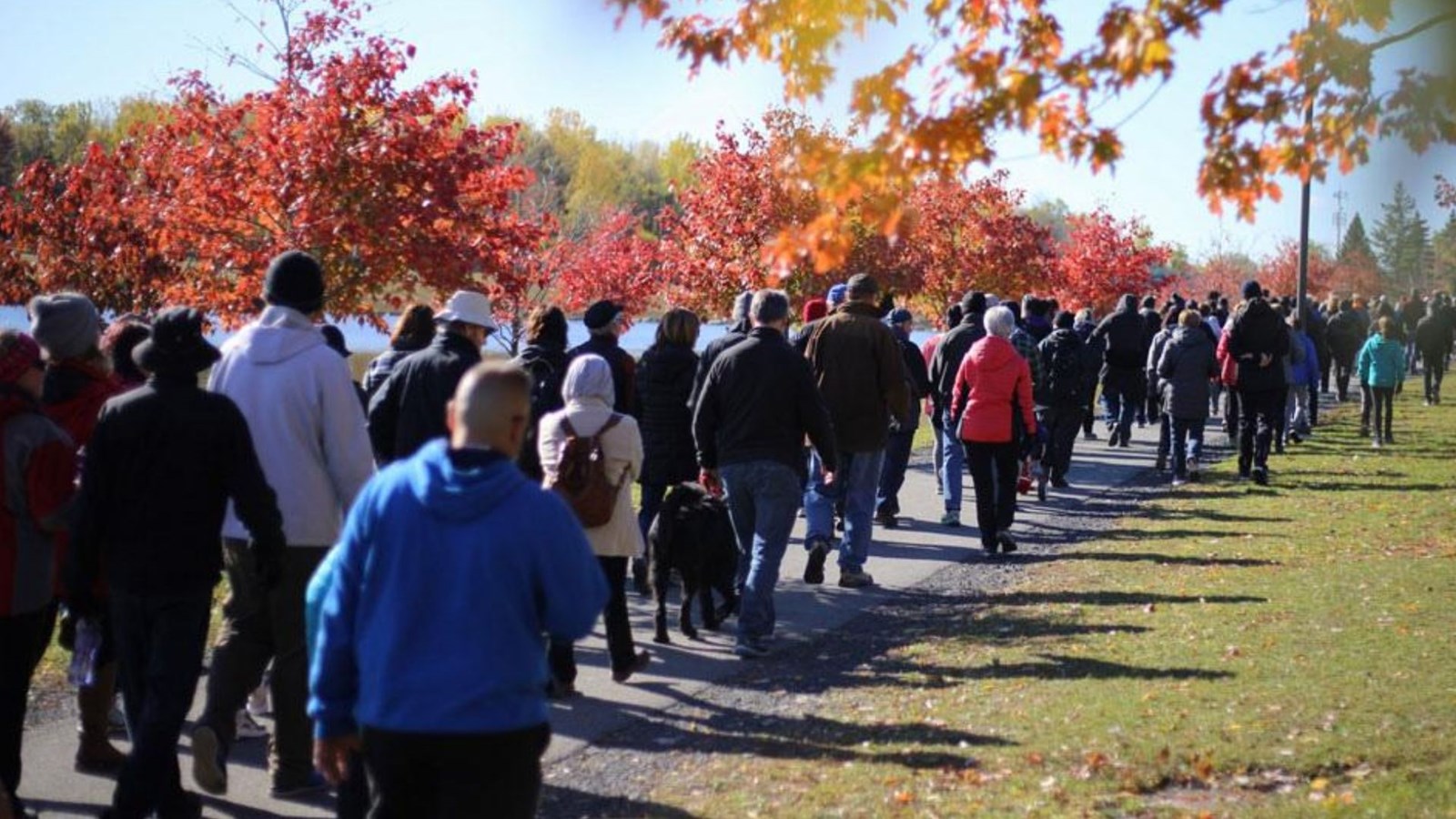 La Grande marche prévue en octobre à Sainte-Marie est reportée