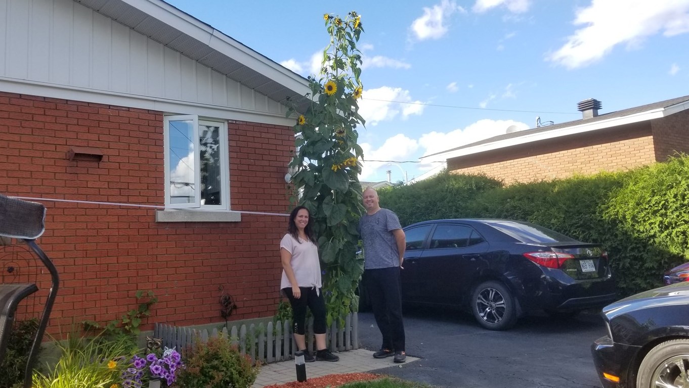 Yan Pépin et Diane Lessard