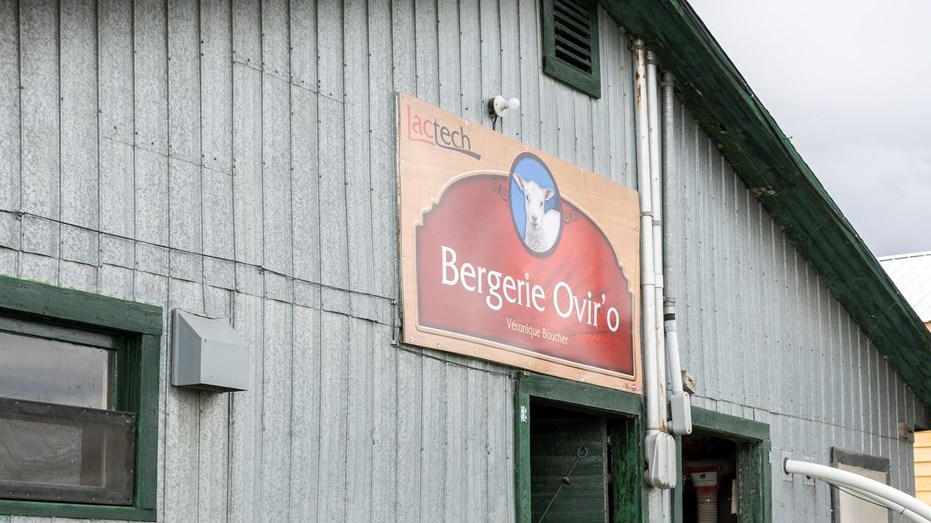 Visite guidée de la Bergerie O'viro avec sa jeune propriétaire, Véronique Boucher