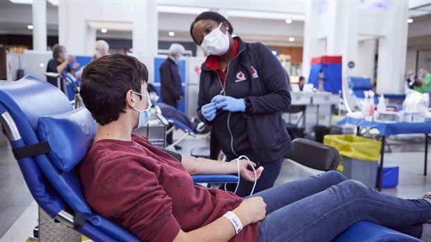 Plusieurs collectes de sang à venir en Beauce
