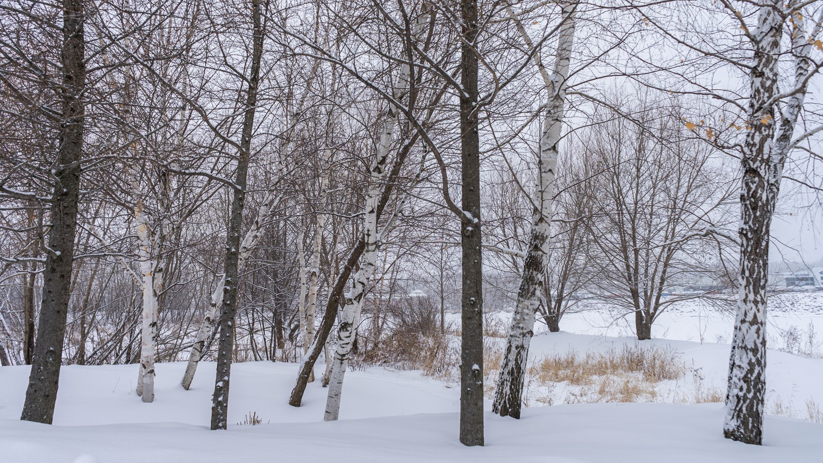 Saint-Georges à nouveau sous la neige