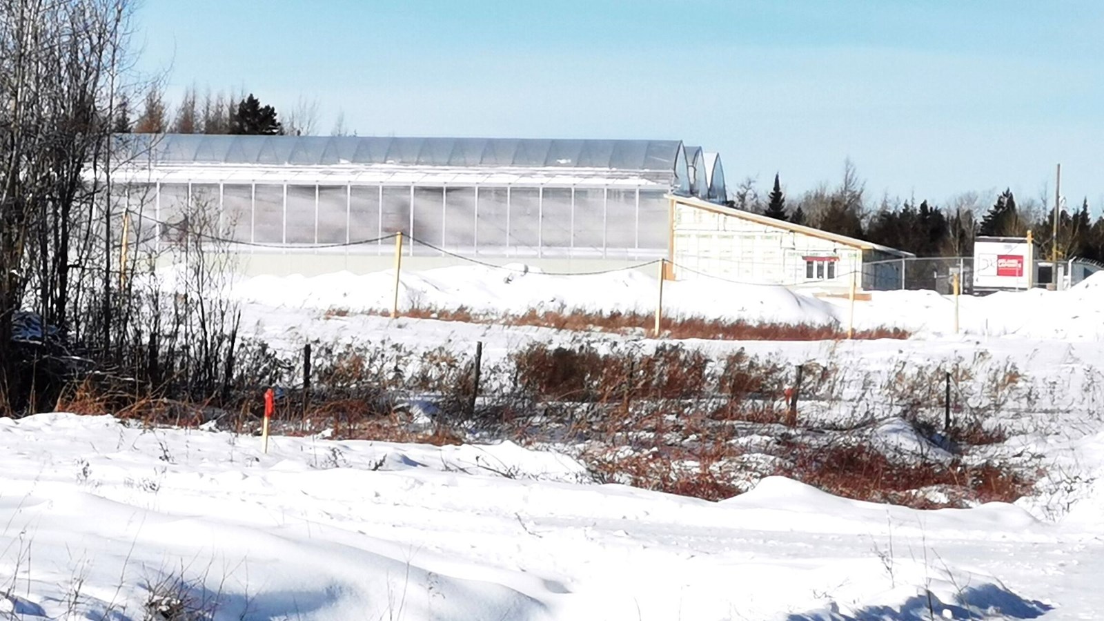 Wio Culture à Saint-Georges: la construction des serres va bon train