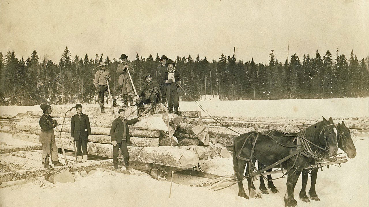 Omniprésence du cheval en Beauce il y a 100 ans