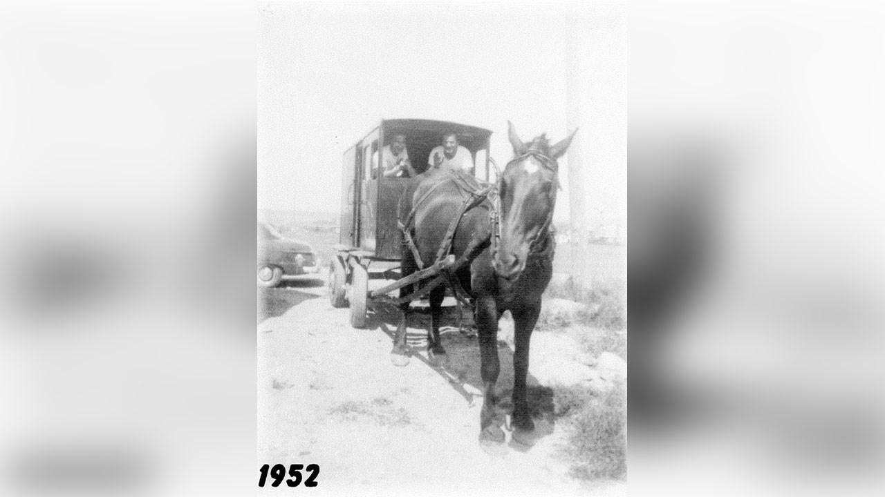 Omniprésence du cheval en Beauce il y a 100 ans