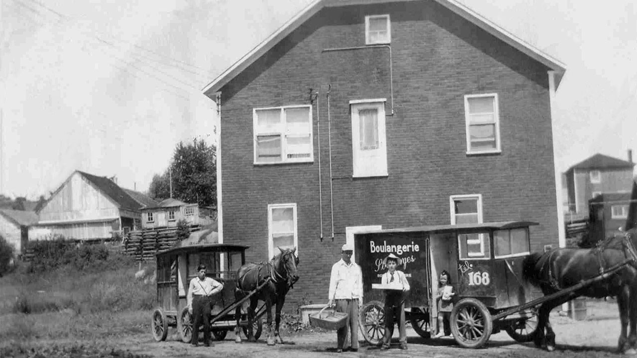 Omniprésence du cheval en Beauce il y a 100 ans