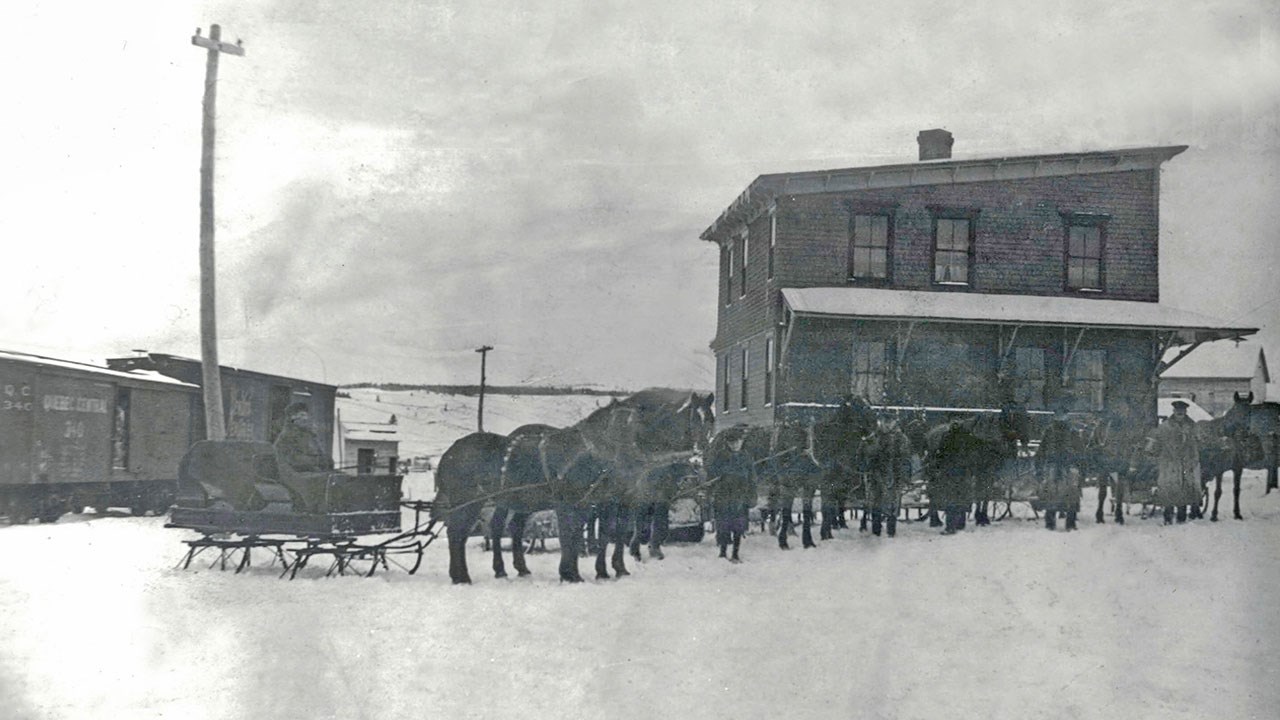 Omniprésence du cheval en Beauce il y a 100 ans