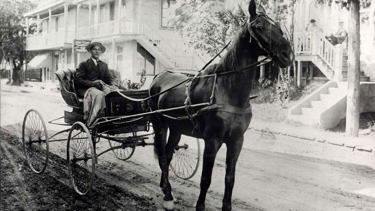 Omniprésence du cheval en Beauce il y a 100 ans