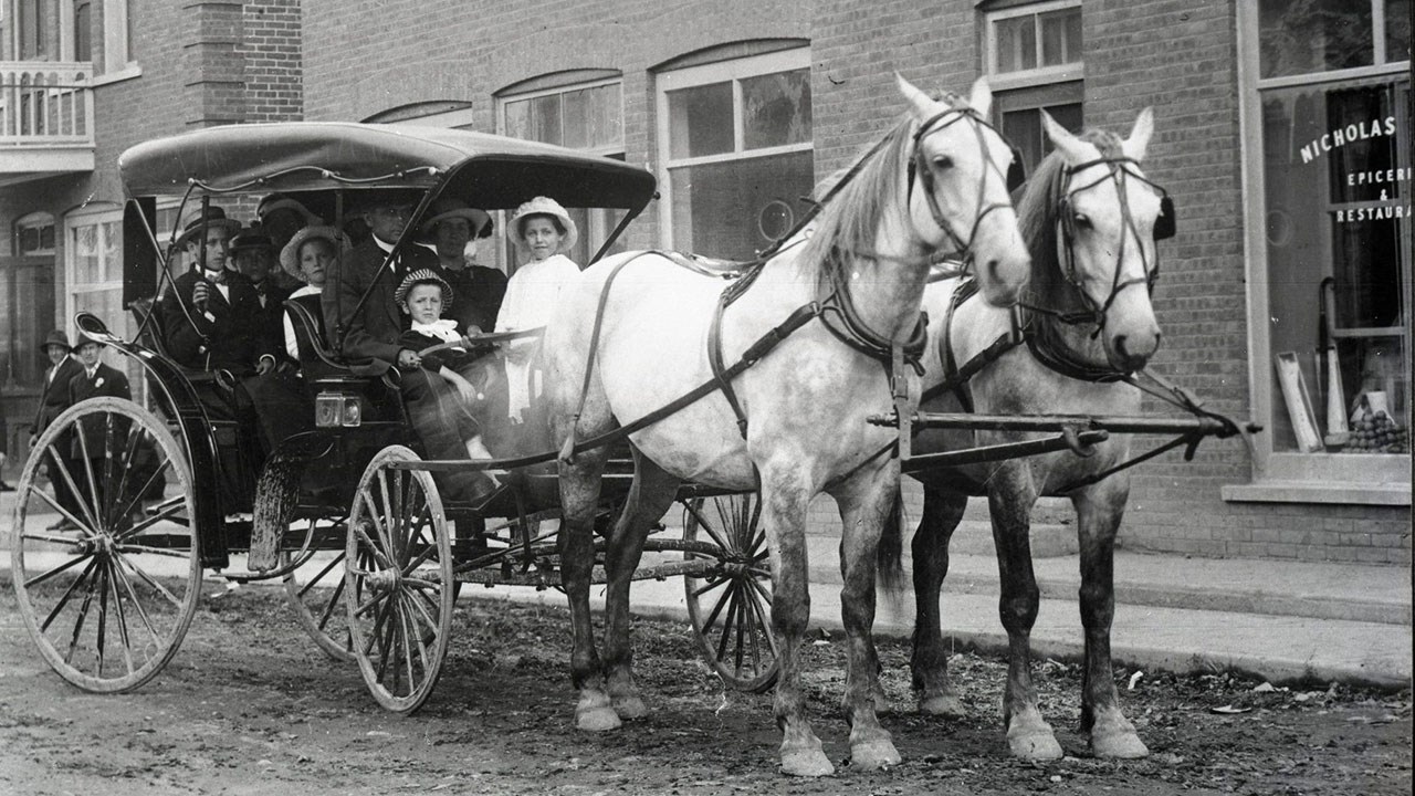 Omniprésence du cheval en Beauce il y a 100 ans