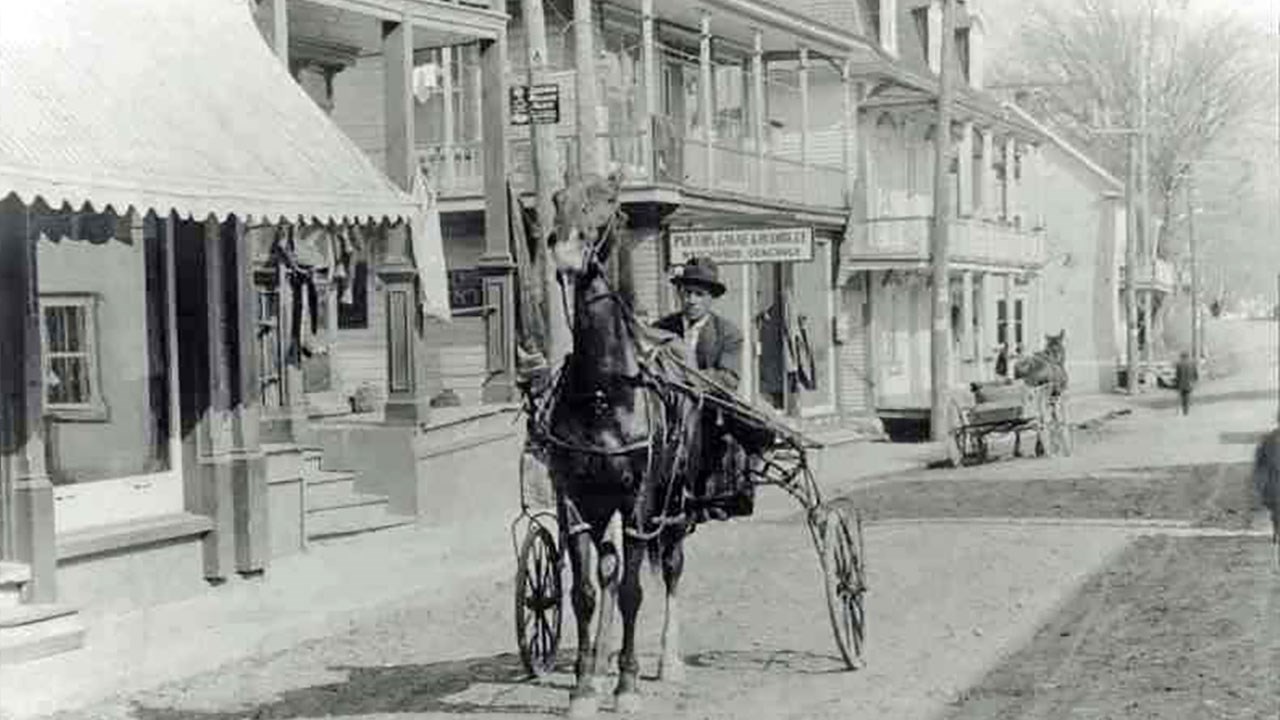 Omniprésence du cheval en Beauce il y a 100 ans