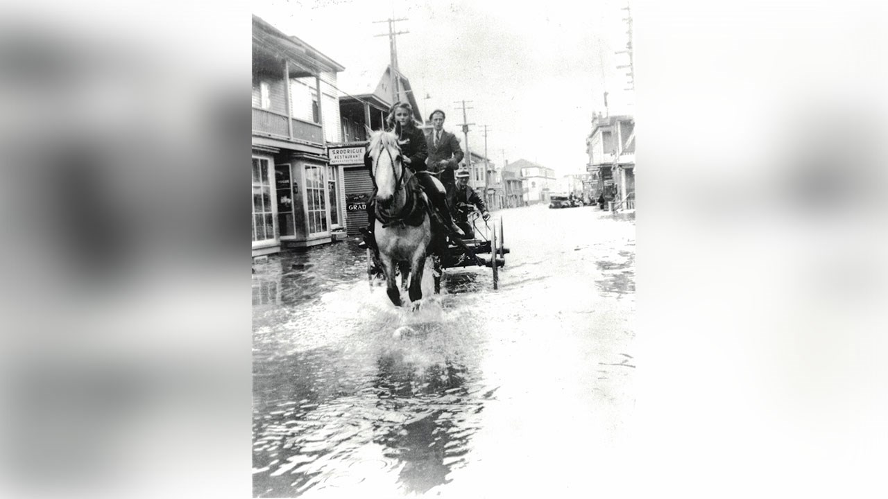 Omniprésence du cheval en Beauce il y a 100 ans