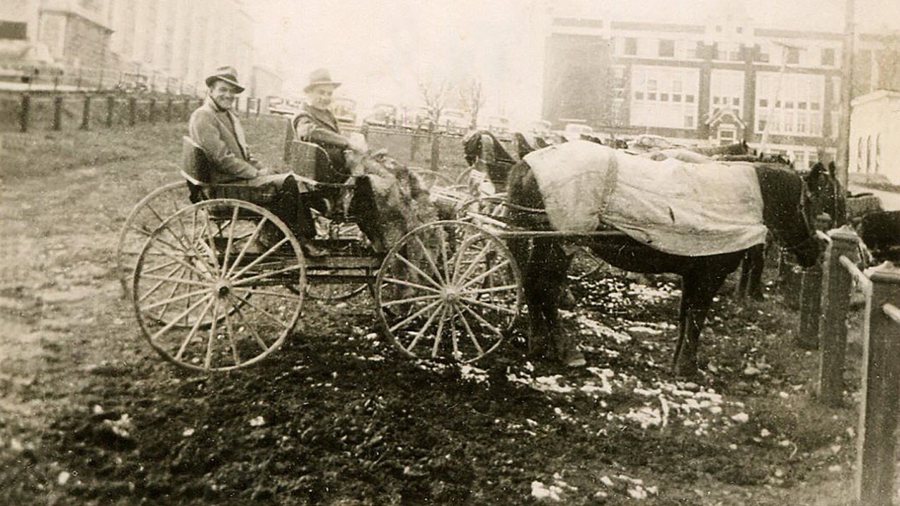 Omniprésence du cheval en Beauce il y a 100 ans