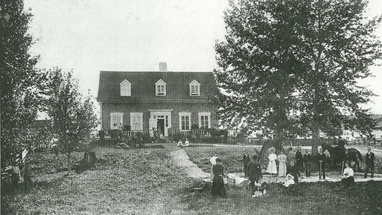 Omniprésence du cheval en Beauce il y a 100 ans