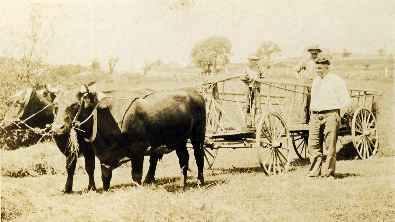 Omniprésence du cheval en Beauce il y a 100 ans