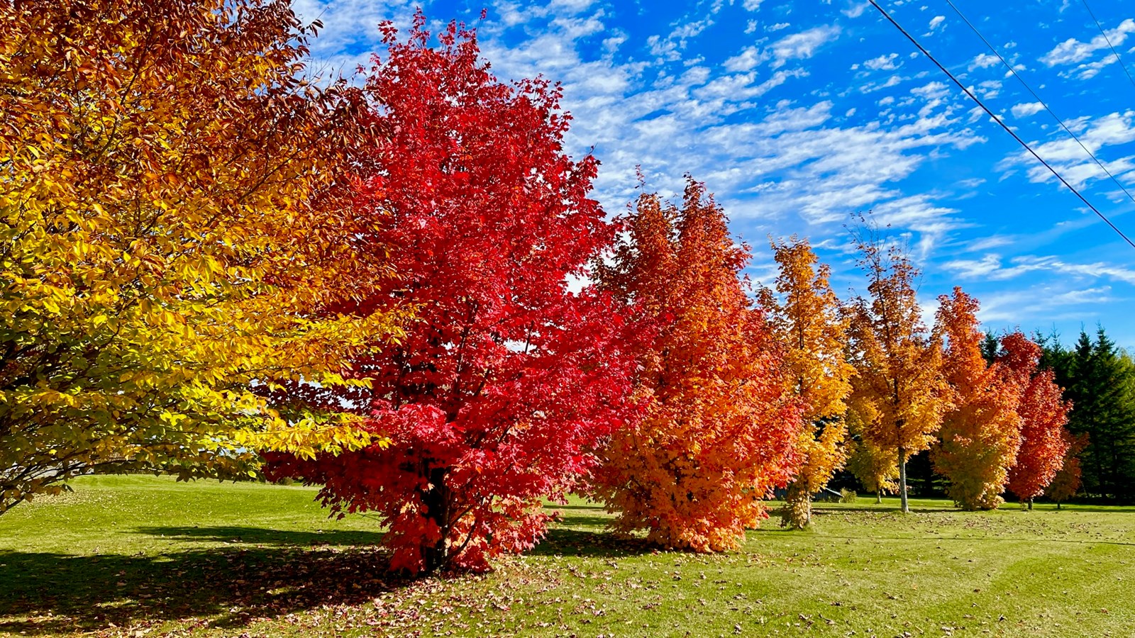 Photorama 1 : l'automne tout en couleur !