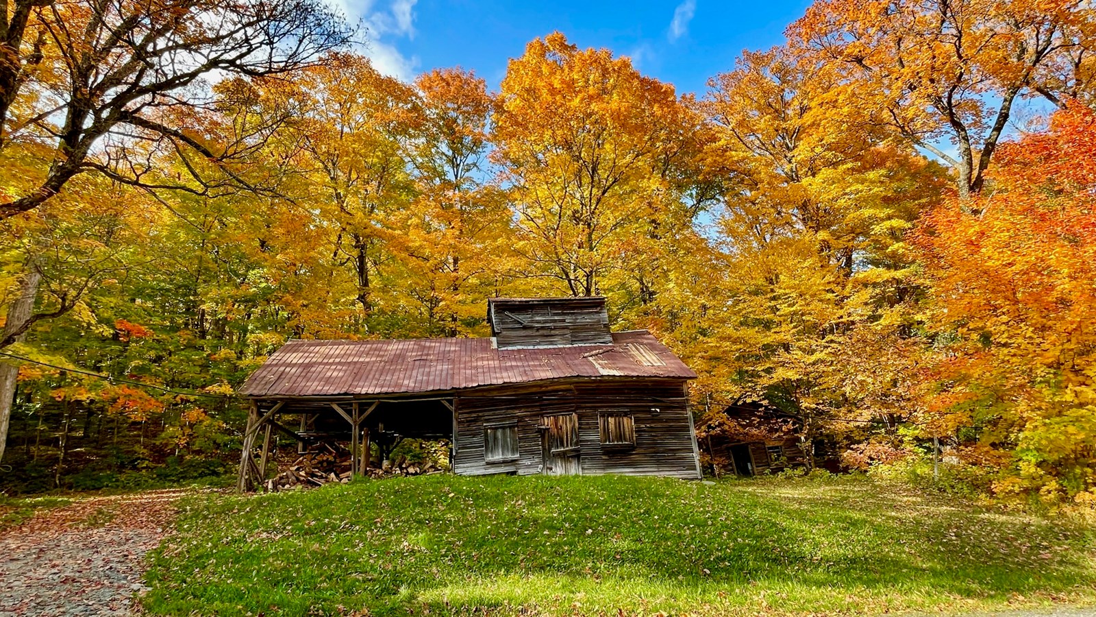 Photorama 1 : l'automne tout en couleur !