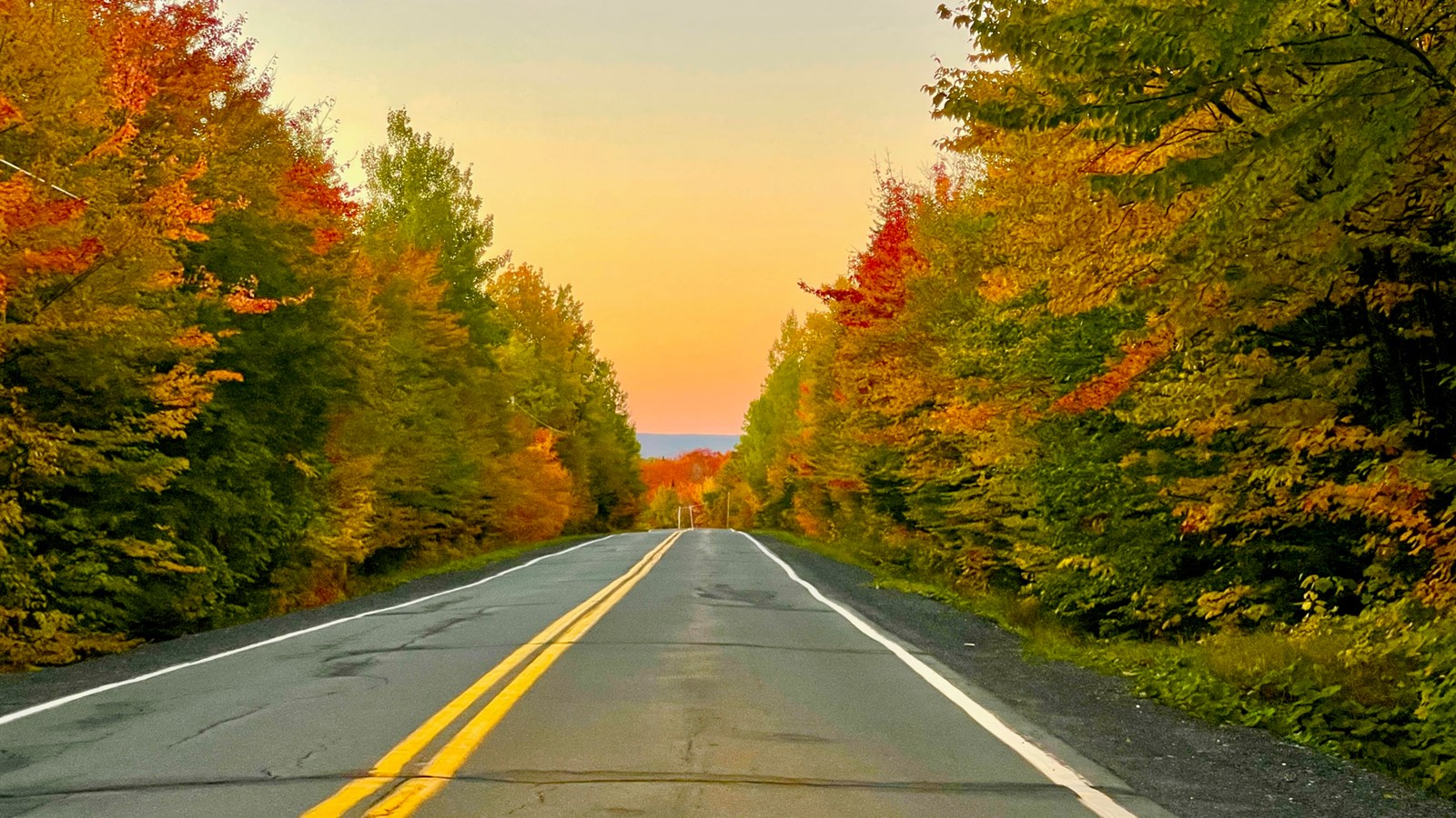 Photorama 1 : l'automne tout en couleur !