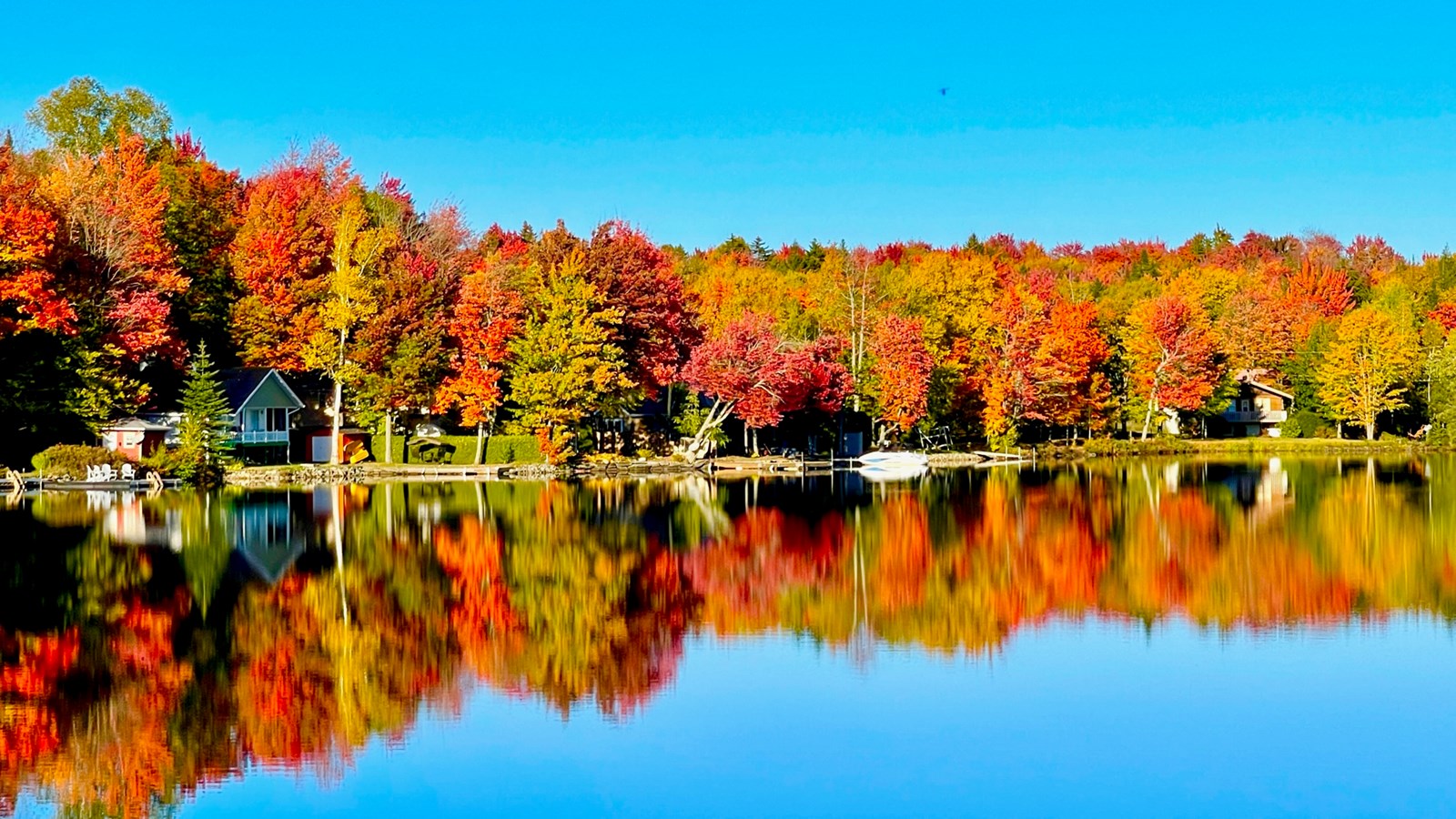 Photorama 1 : l'automne tout en couleur !