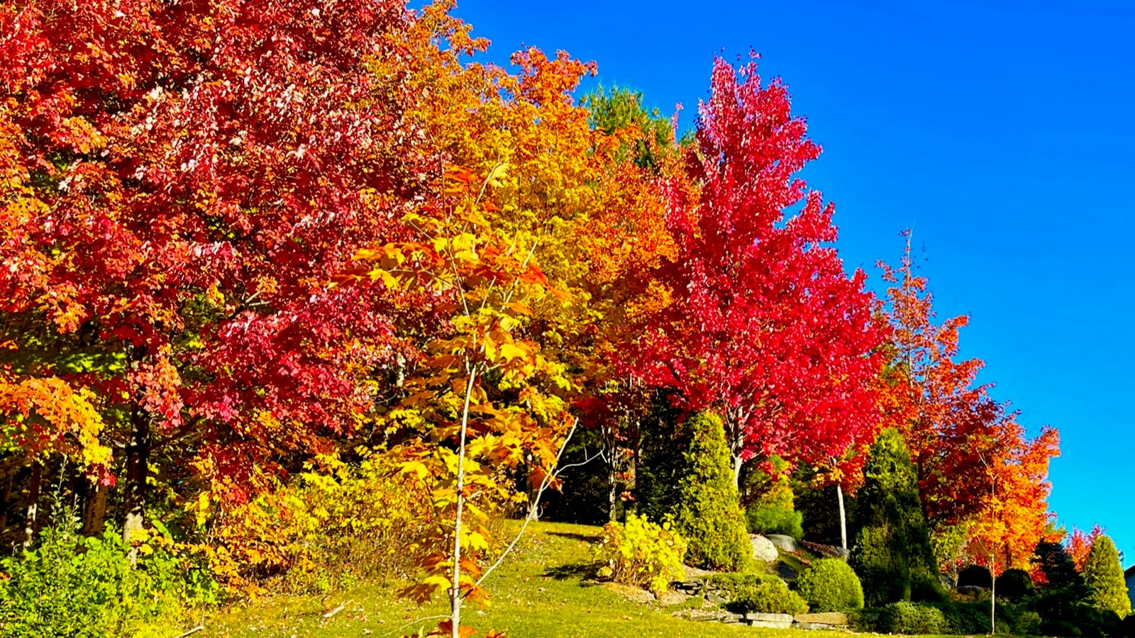 Photorama 1 : l'automne tout en couleur !