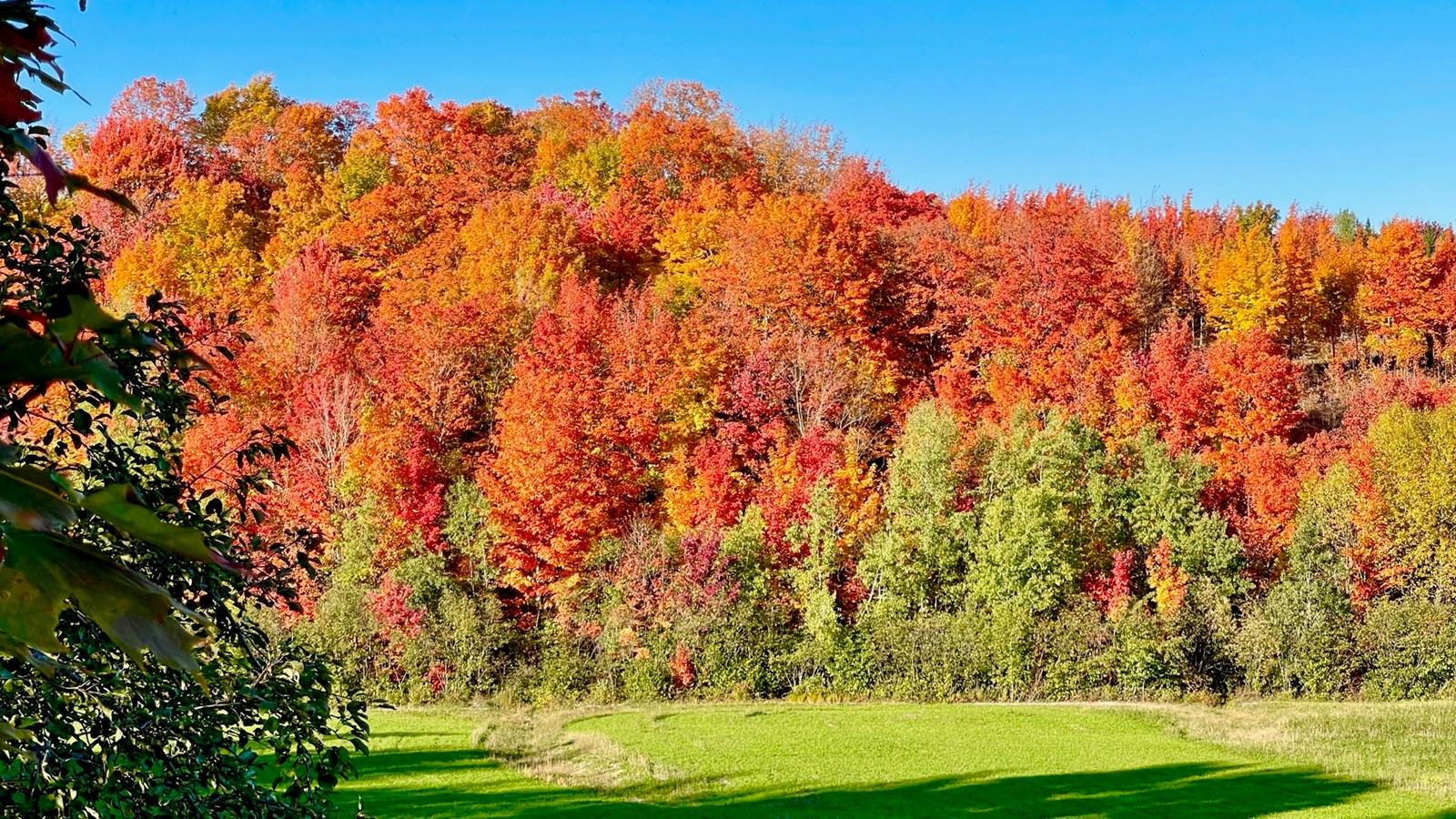 Photorama 1 : l'automne tout en couleur !