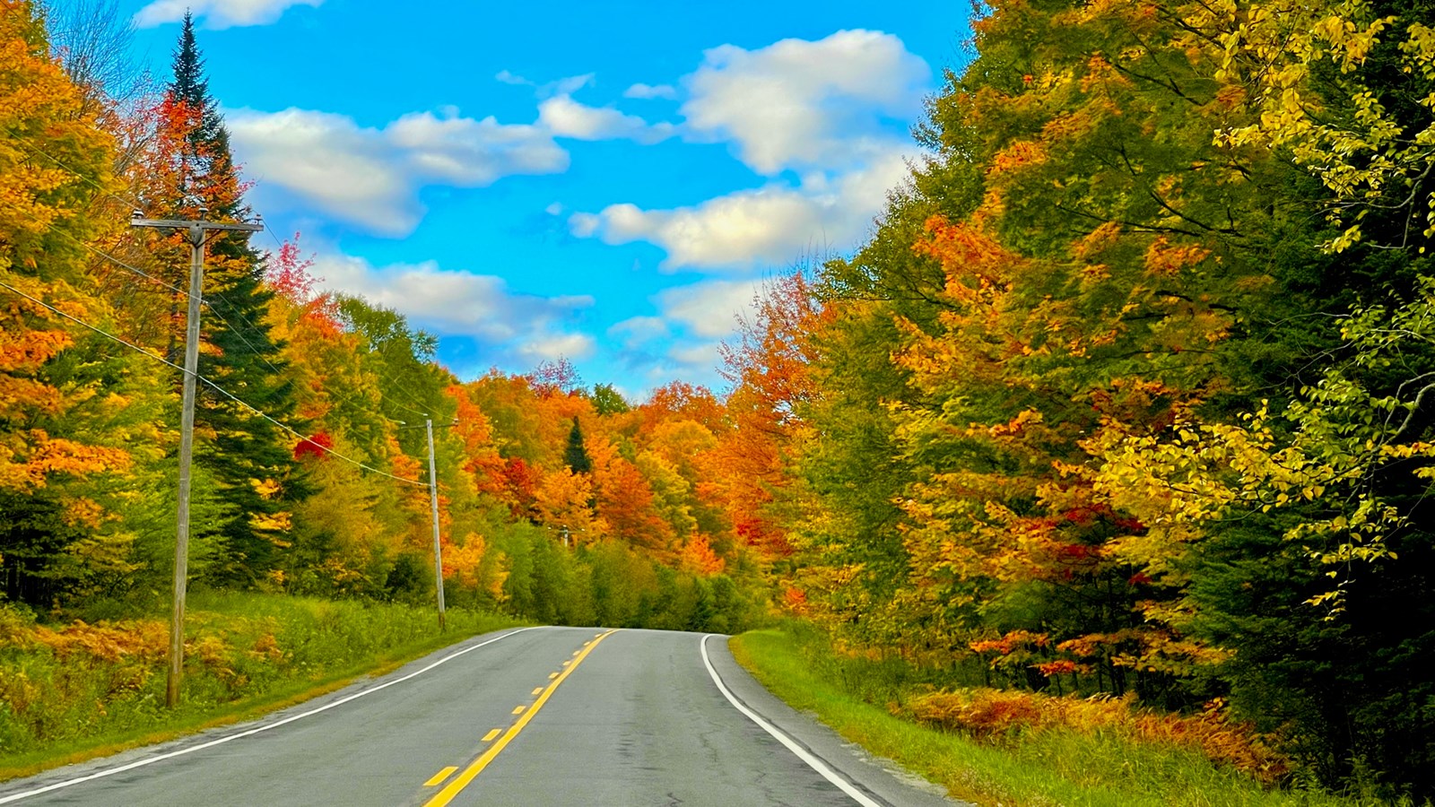 Photorama 1 : l'automne tout en couleur !