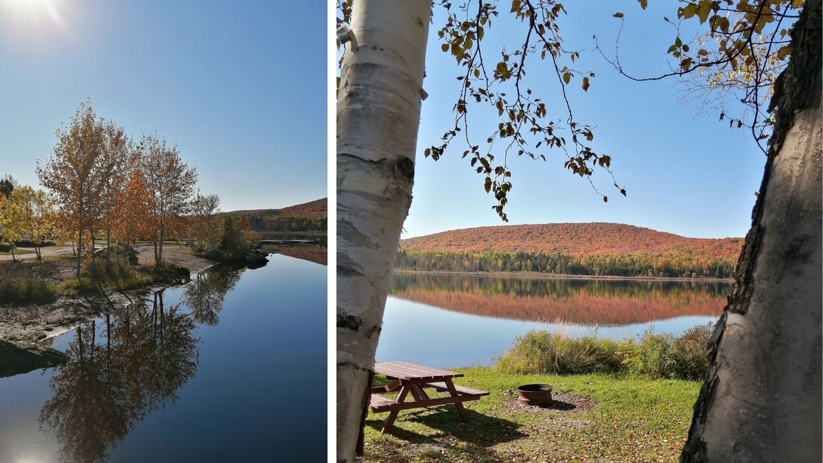 Photorama 1 : l'automne tout en couleur !