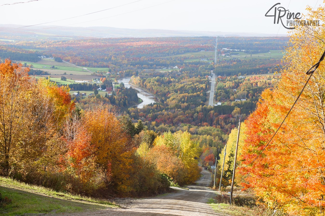 Photorama 2 : l'automne tout en couleur !