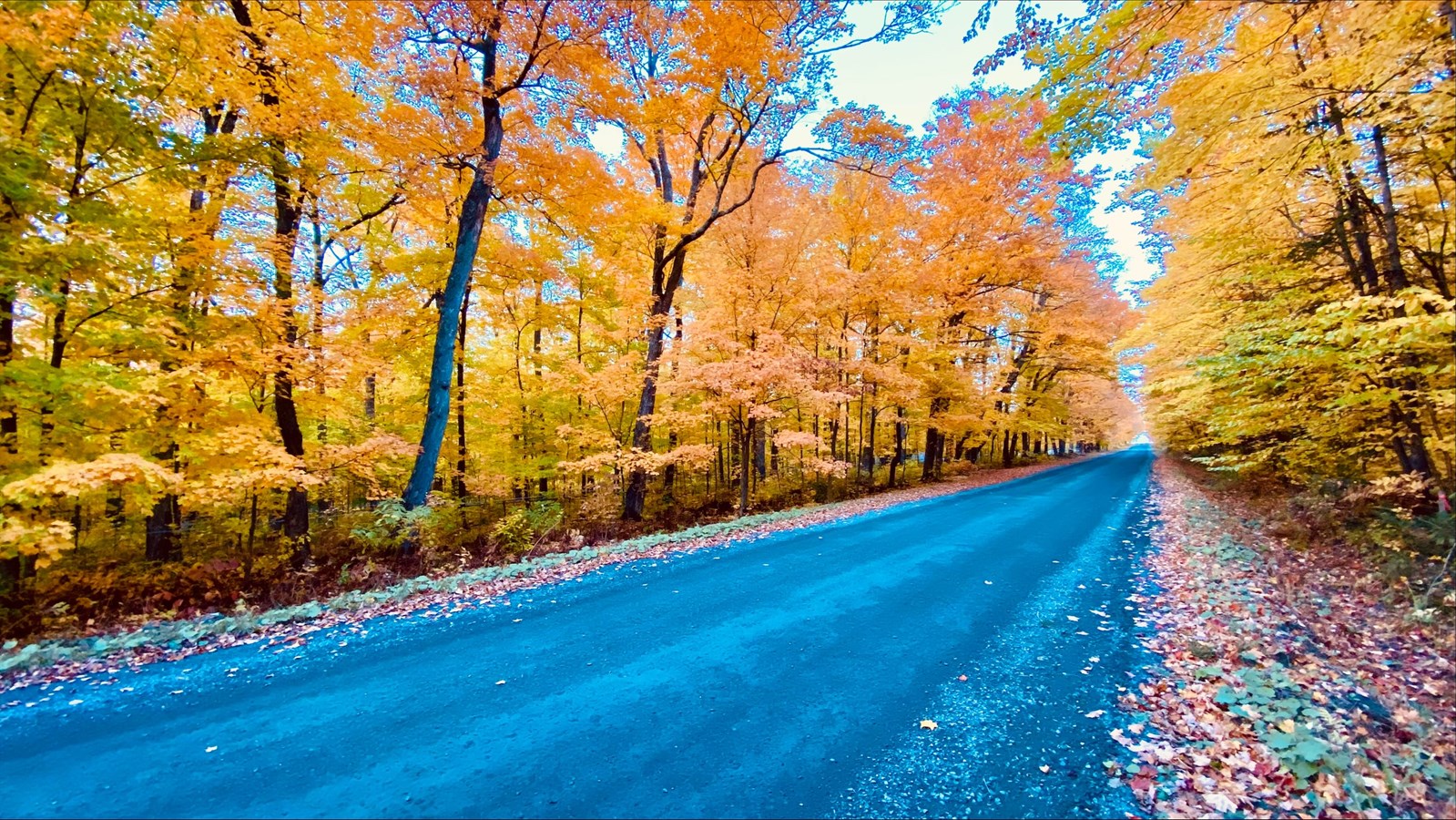 Photorama 2 : l'automne tout en couleur !