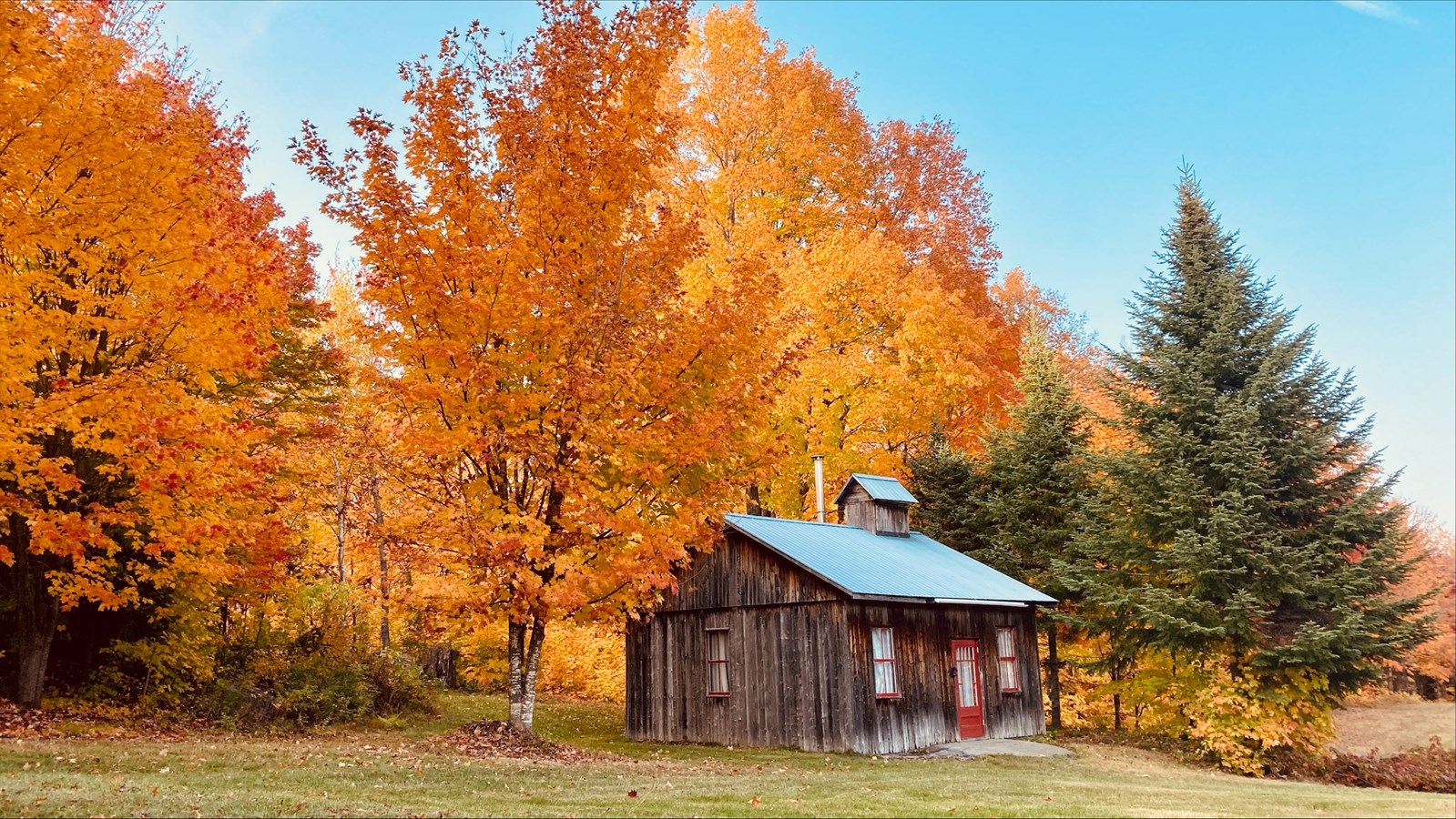 Photorama 2 : l'automne tout en couleur !
