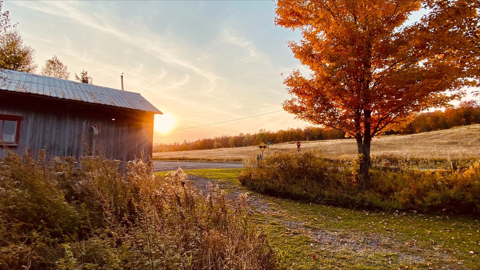 Photorama 2 : l'automne tout en couleur !