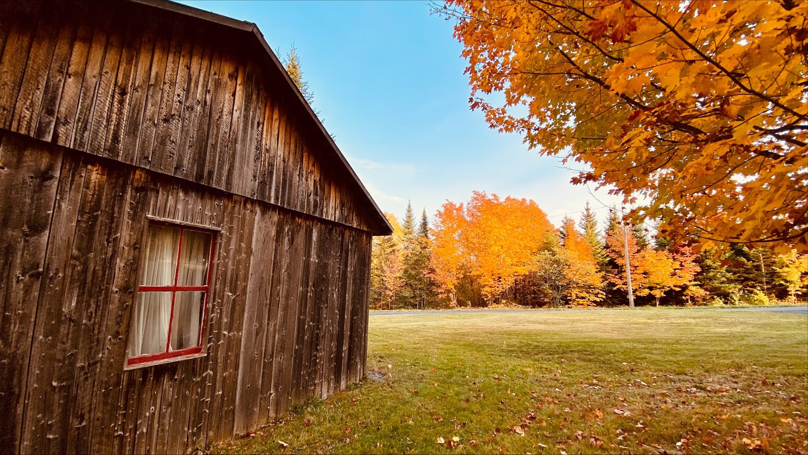 Photorama 2 : l'automne tout en couleur !