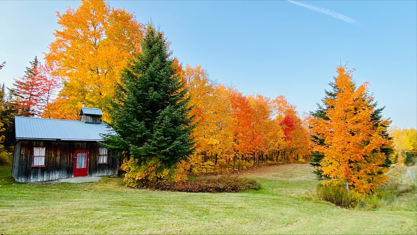 Photorama 2 : l'automne tout en couleur !