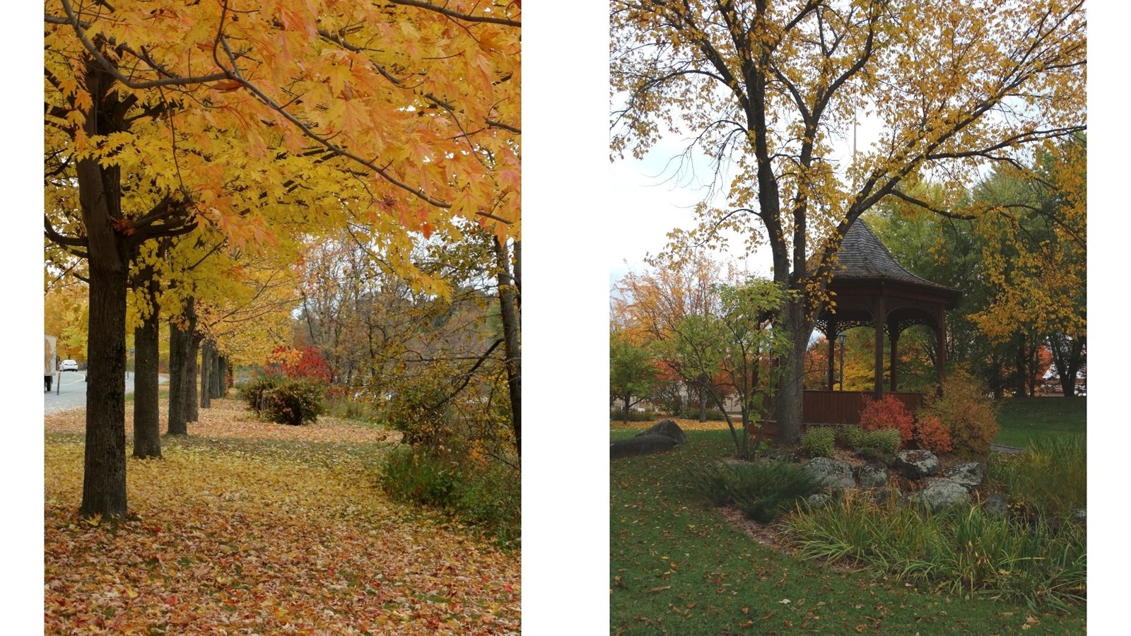 Photorama 3 : l'automne tout en couleur !