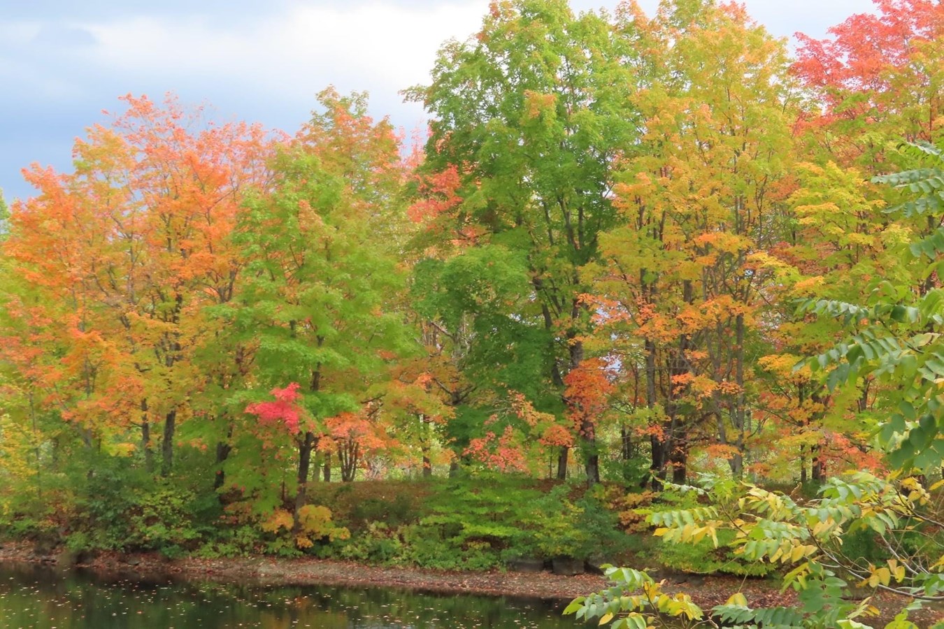 Photorama 3 : l'automne tout en couleur !