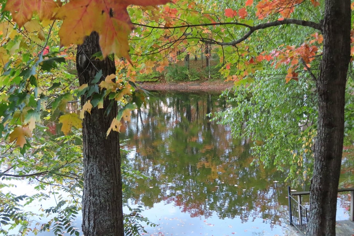 Photorama 3 : l'automne tout en couleur !