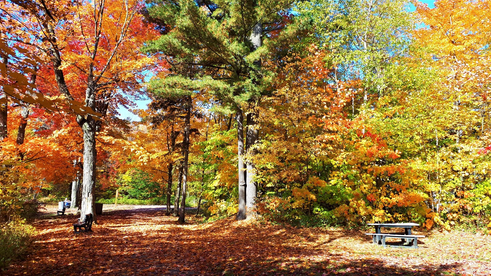 Photorama 3 : l'automne tout en couleur !