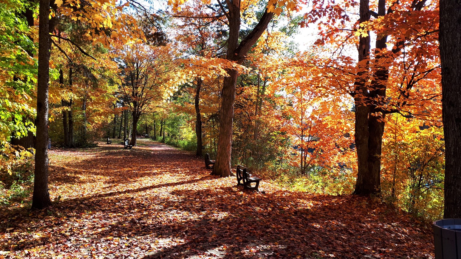 Photorama 3 : l'automne tout en couleur !
