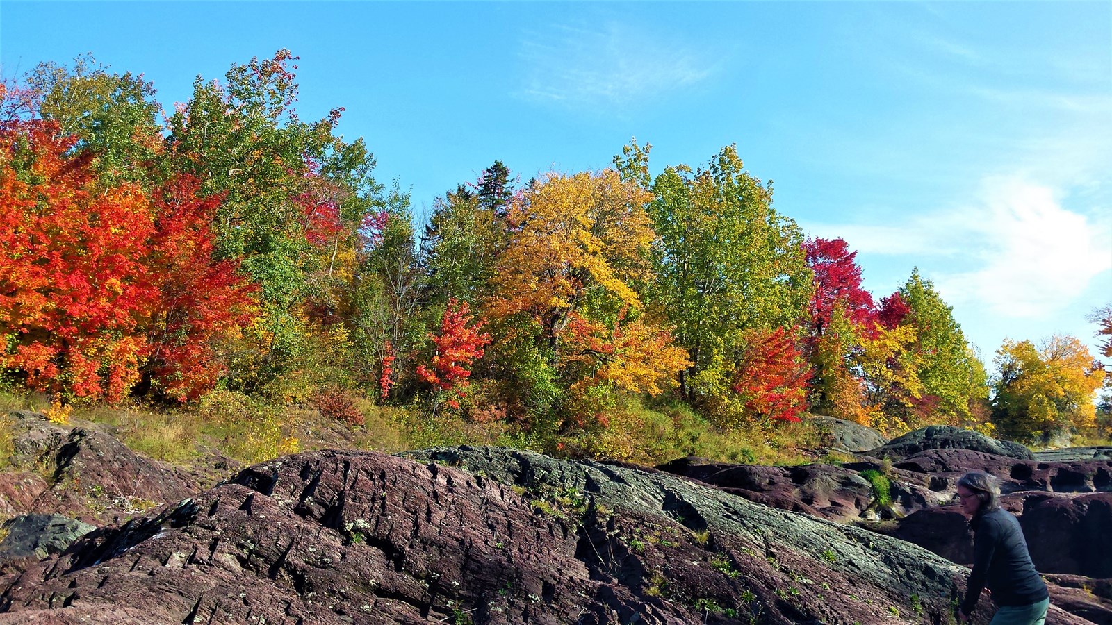Photorama 3 : l'automne tout en couleur !