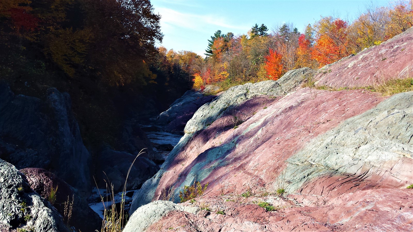 Photorama 3 : l'automne tout en couleur !