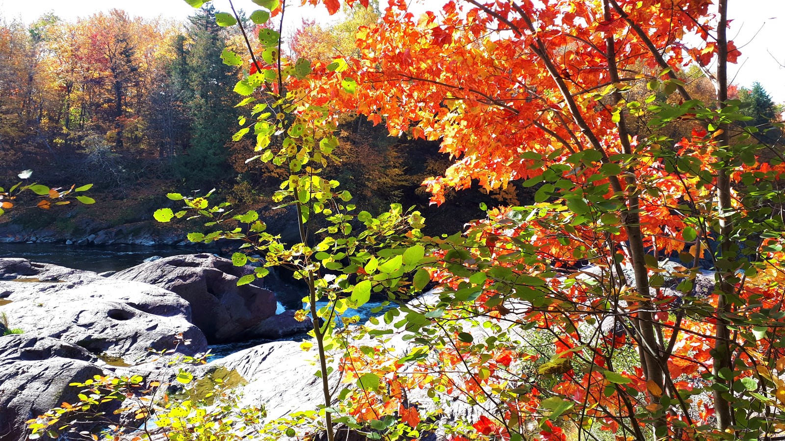 Photorama 3 : l'automne tout en couleur !