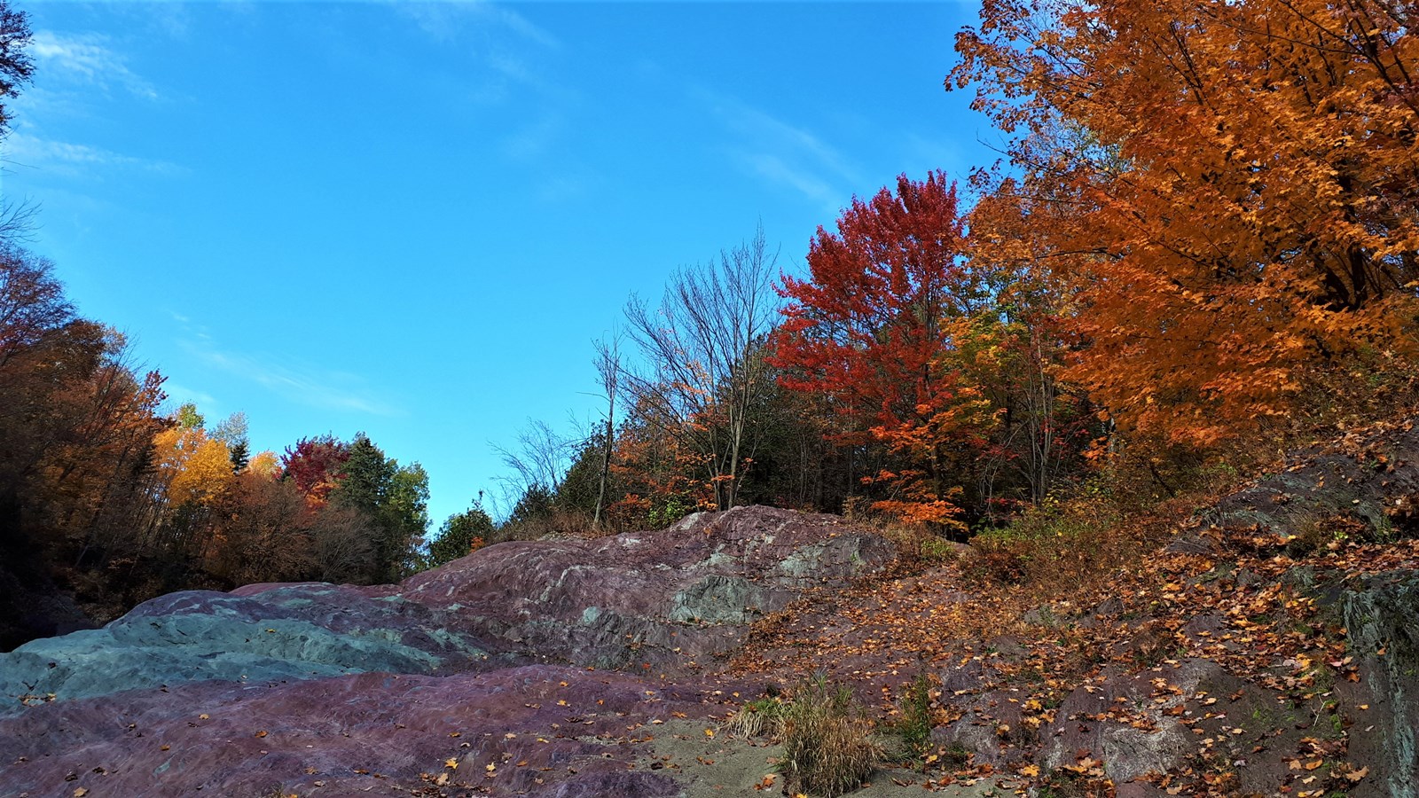Photorama 3 : l'automne tout en couleur !