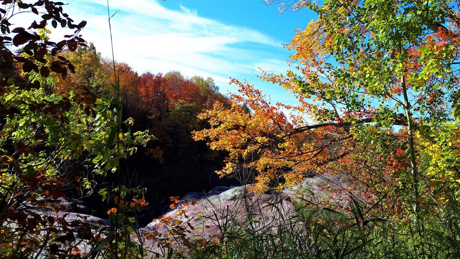 Photorama 3 : l'automne tout en couleur !