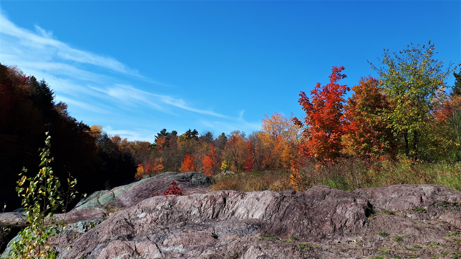 Photorama 3 : l'automne tout en couleur !