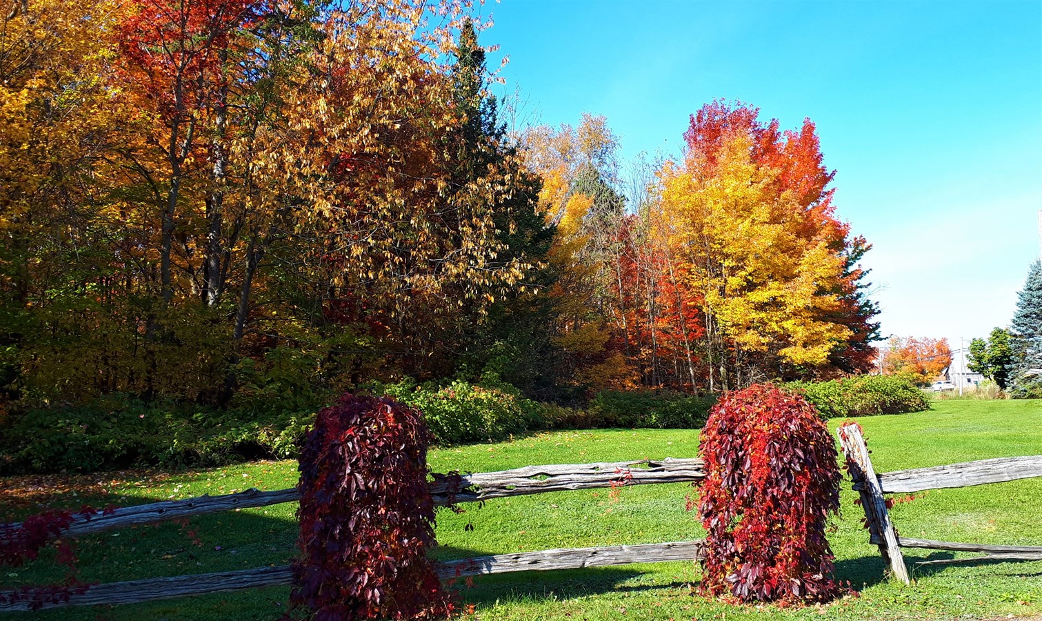 Photorama 3 : l'automne tout en couleur !