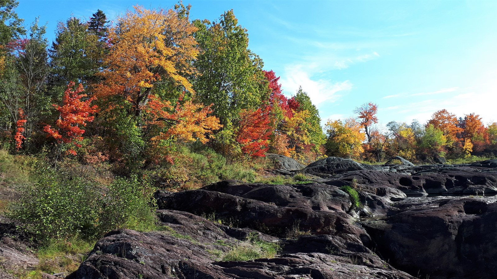 Photorama 3 : l'automne tout en couleur !